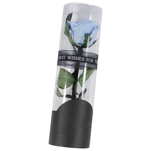 BMYJ Valentines Rose Gift for Her Gifts for Women Red Rose Flower In Glass Dome for Delivery,Red Light Up Rose in A Glass Dome,Anniversary Flowers Gift for Her Grandma Valentines Day