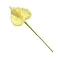 thumbnail image 1 of Limpiadores de pipas terminados, flores artesanales, flores de lirio de cala artificiales hechas a mano para el Día de la Madre, cumpleaños, bodas, decoración del hogar, 1 of 8