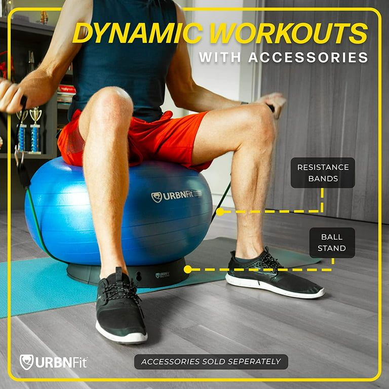 DYNAMIC- PHYSIO (ANTI-BURST) BALLS – Weight Room Equipment