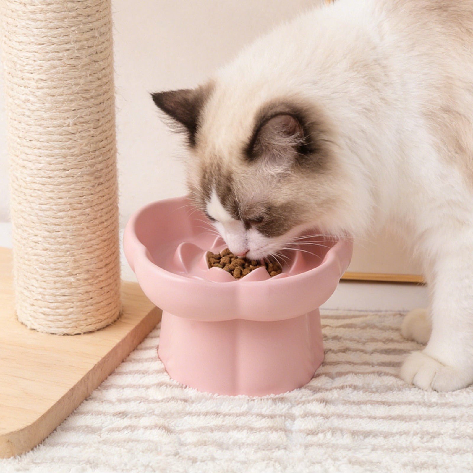 Elevated Pet Bowl, High Foot Ceramic Slow Feeder, Slant Neck Protection Design, Non-Slip Anti-Spill Dish for Kittens Puppies Small Pets Mealtime Comfort and Overeating Control