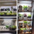 thumbnail image 2 of LED Plant Grow Light Strips Grow Lights for Indoor Plants Full Spectrum Growing Lamp with Auto On/Off //Hrs Timer Dimmable Levels Switch Modes for Hydroponics Seedling Pac, 2 of 6