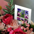 thumbnail image 3 of 3drose, I Am So Sorry for Your Loss, 6 Greeting Cards with Envelopes, 3 of 7