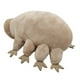 thumbnail image 3 of Muñeco de peluche con forma de tardígrado, simulación de insecto, 25 cm, anime, 3 of 4