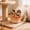 Orange#48, variant on Floating Water Bowl for Cats and Dogs, Anti-Spill No-Drip Pet Dispenser, Keeps Pet Beard Dry and Chin Clean, Food-Grade Slow Water Feeder for Small to Medium Pets, 1PC