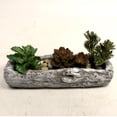 thumbnail image 6 of Admired By Nature 12" Cement Rustic White Tree Log Succulents Cactus Planter Pot, 6 of 8