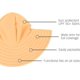 thumbnail image 4 of ® Baby/Toddler Girls UPF 50+ Sun Protective Wide Brim Swimwear Sun Hat, 4 of 5