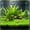 #05 Green【1 x Artificial Grass【15.74" × 23.62" 】】, variant on Artificial Aquarium Grass Mat Decor Plastic Lawn, 10"x10" Fish Tank Ornament Mat, Landscape Plants for Saltwater Freshwater Tropical Aquariums by IHHXPRO, Yellow