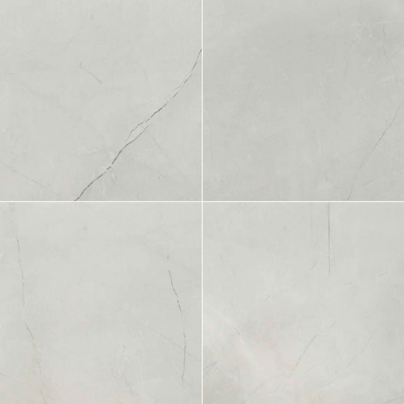 MSI Sande Ivory 24 X 24 Polished Porcelain Floor And Wall Tile