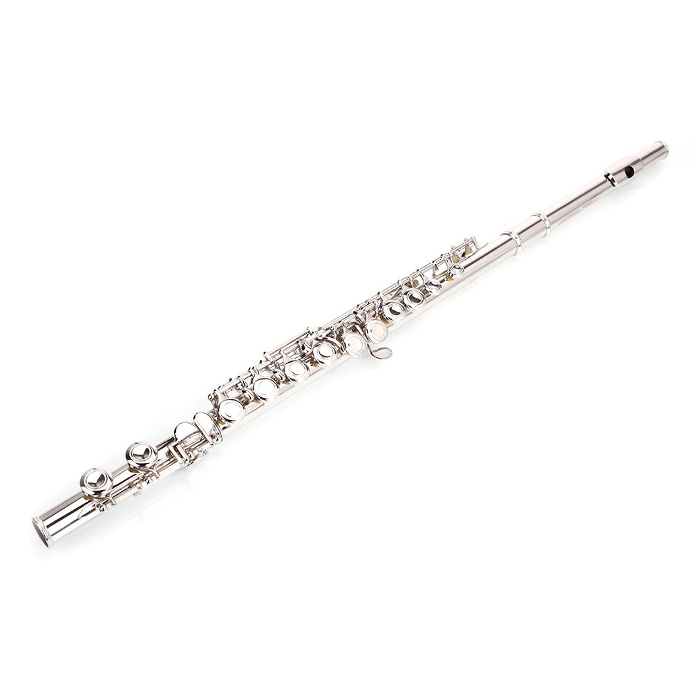 Tcbosik 16 Keys C Closed Hole Flute with E Key, Instrument for Beginner with Carrying Case, Cloth, Lubricant, Screwdriver and Cleaning Rod, Silver