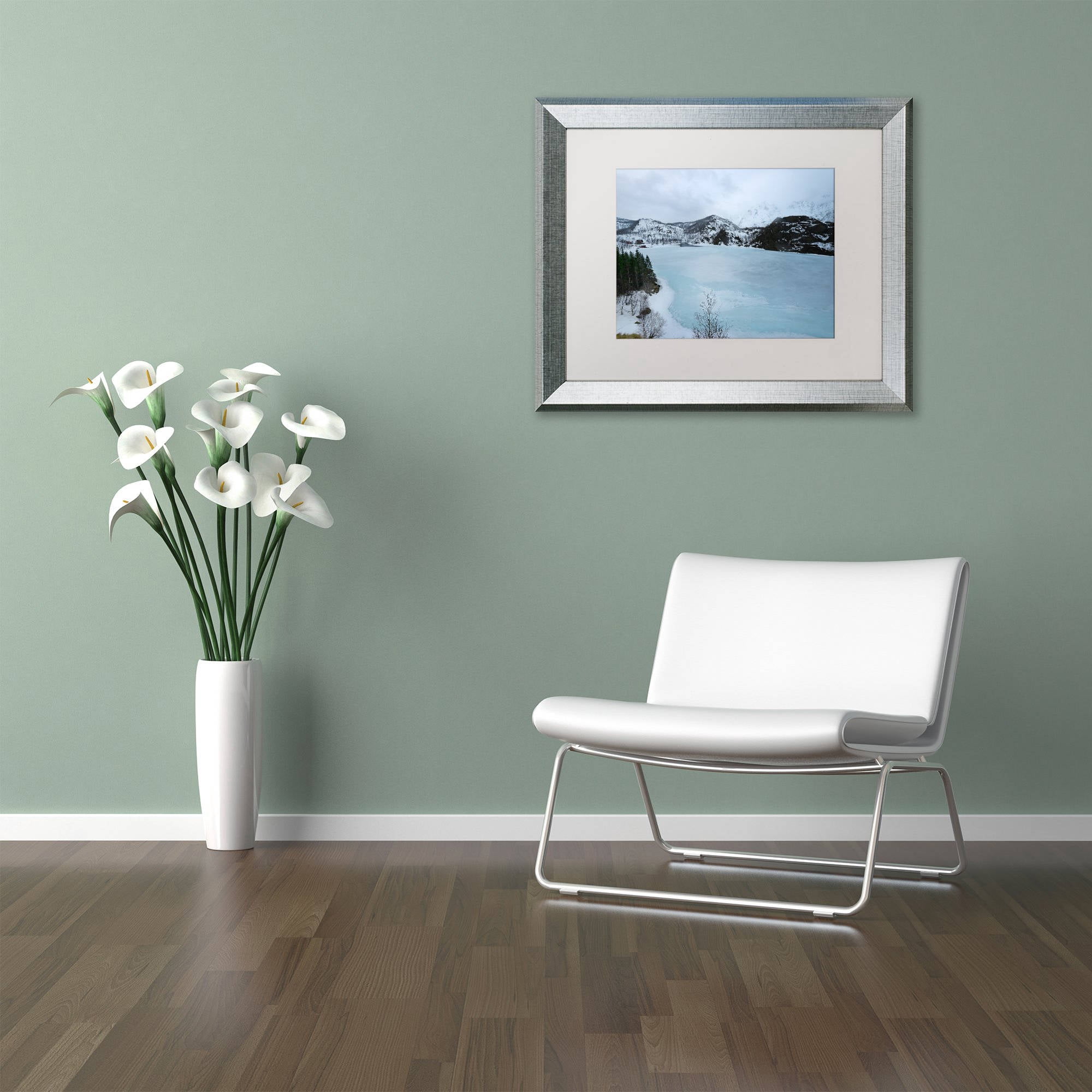 Trademark Fine Art "Picture That" Canvas Art by Philippe Sainte-Laudy, White Matte, Silver Frame