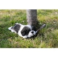 thumbnail image 1 of Hi- Line Gift 87710-J Shih Tzu Chiot Dormir Animal de Compagnie Amis Statue, 1 of 1