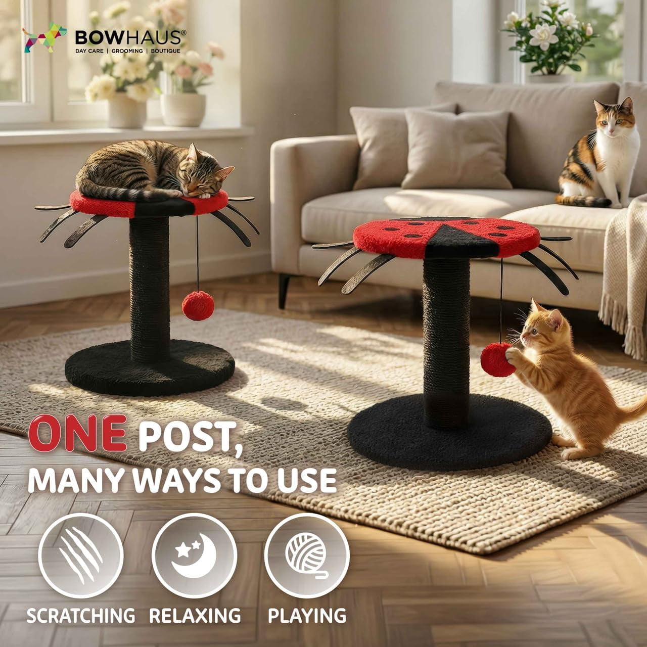 CAPHAUS Lady Bug-Style Cat Scratching Post, Cat Scratcher with Sisal Rope and Interactive Hanging Ball, 10 Inch Scratching Post for Indoor Cats and Kittens