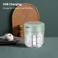thumbnail image 1 of CC TOY Mini Garlic Press Vegetable Chopper Masher Machine USB Kitchen Gadgets, 1 of 6