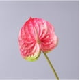 thumbnail image 3 of HAOSHICS 22 "Artificial Anthurium Lily Flowers Permanent Flower,3 Pcs Tropical Imitation Plant Flower Bouquets for Table Centerpieces,Bridal Wedding Festival Decor Flower, 3 of 6