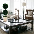 thumbnail image 2 of Modern Home Real Preserved Boxwood Double Ball Topiary, 2 of 2