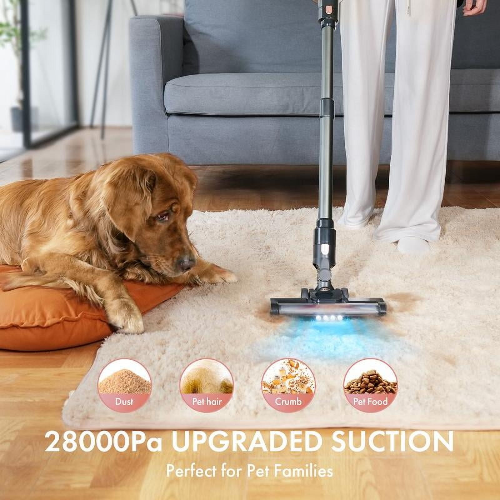 Homeika Cordless Vacuum Cleaner--H320, 28Kpa Powerful Suction, 380W Powerful Brushless Motor, 8-in-1 Lightweight Handheld Vacuum Cleaner, 50-Minute Runtime, Removable Battery, For Pet Hair and Carpet