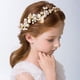 thumbnail image 1 of RV #B Diadema para el Cabello con Flores para Boda, Cumpleaños, Fotografía, 1 of 4
