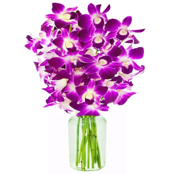 KaBloom : 20 Purple Orchids With Vase, Next-Day Delivery, Gift for Every Occasion.