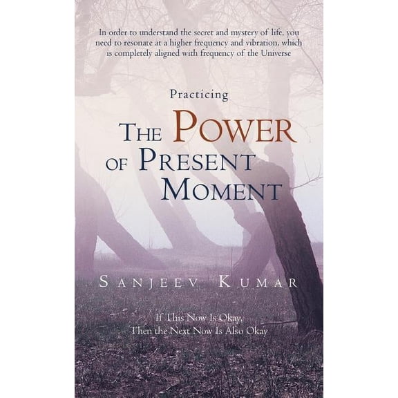 Practicing the Power of Present Moment, (Paperback)