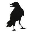 thumbnail image 4 of Black Crow Stickers, 4 of 8