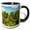 Black/White, variant on 3drose, Green Needles of a Dwarf Pine Trees on a Sunny Day of Spring, 11oz Mug