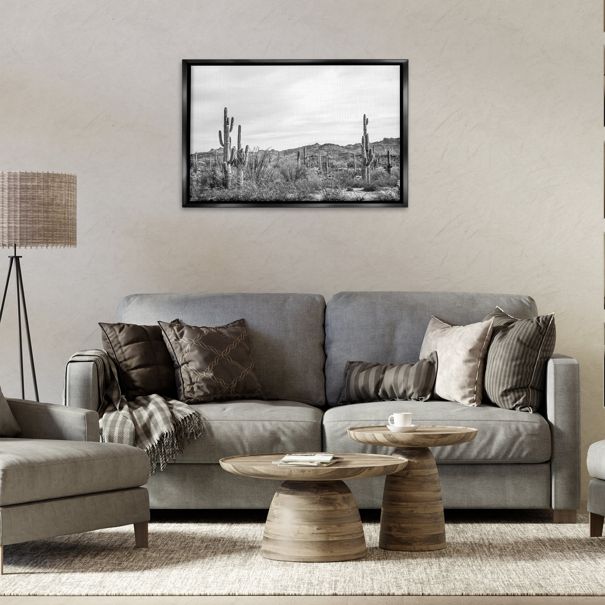 Stupell Industries Sonoran Desert Wonderland Landscape & Nature Photography Black Floater Framed Canvas Art Print Wall Art, 31 x 21