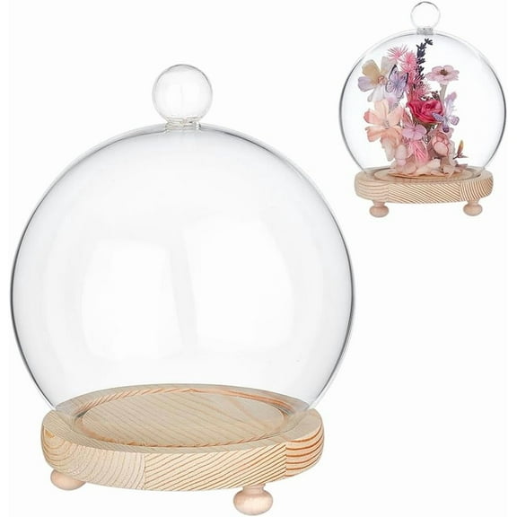 Decorative Glass Dome Cover 5.9×7.3 Inch Display Dome Cloche Bell Jar Clear Round Glass Display Dome with Wood Base for Centerpieces Plants Rocks Specimens Decorations Crafts diy