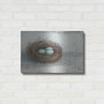 thumbnail image 3 of Luxe Metal Art 'Rustic Bird Nest I' by Ethan Harper Metal Wall Art, 24"x16", 3 of 8