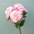 thumbnail image 3 of Visland Artificial Peony Flower Suitable for Living Room, Dining Table, Office, Wedding, Hotel Banquet and Family Decoration, 3 of 7