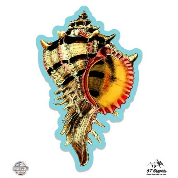 Colorful Seashell - 3" Vinyl Sticker - For Car Laptop I-Pad Phone Helmet Hard Hat - Waterproof Decal