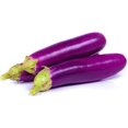 thumbnail image 3 of Long Purple Eggplant Seeds for Planting, 100+ Heirloom Seeds Per Packet,  Non GMO Seeds, Botanical Name: Solanum melongena, Great Home Garden Gift, 3 of 5