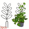 thumbnail image 3 of Plant Support Frame Set, 3 Pcs Climbing Rack for Vines, Potted Plants, Indoor and Outdoor Planters, 3 of 7