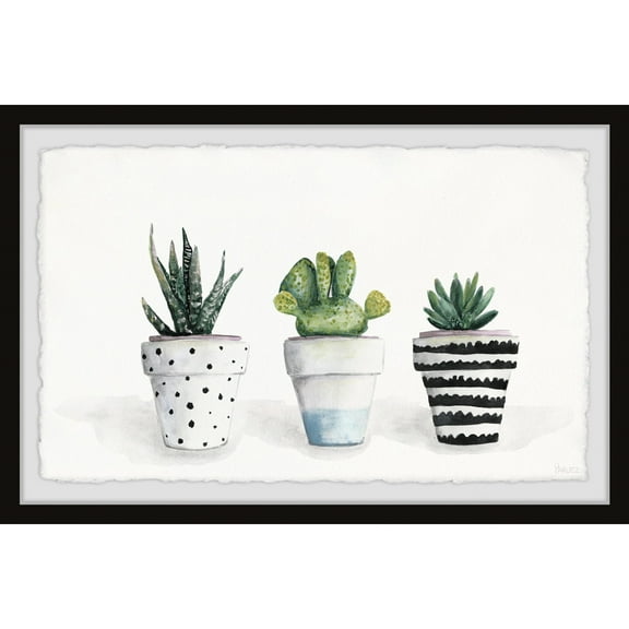 Parvez Taj Succulent Trio II Framed Painting Print