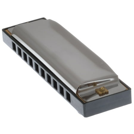 Kids Stainless Steel Harmonica 10 Hole Key of C Big Brass Reed (The Best Harmonica Players)