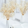 thumbnail image 4 of Preserved Baby's Breath 3 Bunches, 100% Natrual Fresh Gypsophila Long Lasting Flowers for Vase Arrangements Home Decoration Photo Props Parties and Weddings, DIY Décor-White, 4 of 12