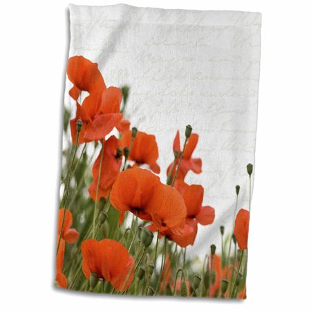 3dRose Poppy flowers on white background - Towel, 15 by 22-inch