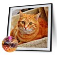 thumbnail image 2 of Cuadros Decorativos Kit de pintura de diamante 5D, gato naranja, taladro cuadrado completo, diamantes de imitación, juego de arte de pared DIY Likrtyny embutido en tela, 2 of 9