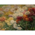thumbnail image 2 of Caillebotte, Gustave 24x19 Black Ornate Wood Framed with Double Matting Museum Art Print Titled - Chrysanthemums in the Garden at Petit-Gennevilliers, 2 of 4