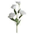 thumbnail image 2 of Flores artificiales de Eustoma 4 tallos | Arreglo floral de simulación de seda realista | Pétalos de alta simulación multibrazo | Para la decoración de bodas en la oficina en casa | 28.35 pulgadas, 2 of 6