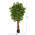 thumbnail image 3 of Nearly Natural 5.5' Super Deluxe Natural Trunk Ficus Artificial Tree, 3 of 5