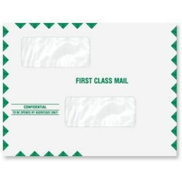 EGP Double Window Tax Return Mailing Envelope, 100 Envelopes