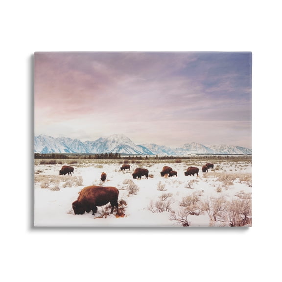 Stupell Industries Bison Desert Mountains Scene Animals & Insects Photography Gallery Wrapped Canvas Print Wall Art, 20 x 16