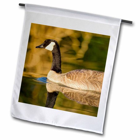 3dRose Canada geese, Bird Viewing Preserve, Nevada - US29 MPR0061 - Maresa Pryor - Garden Flag, 12 by 18-inch