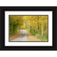 thumbnail image 1 of Murdock, Ramona 32x23 Black Ornate Wood Framed with Double Matting Museum Art Print Titled - Fall Path, 1 of 4