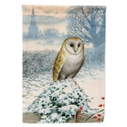 Carolines Treasures ASA2157CHF Barn Owl Flag Canvas House Size , Large, multicolor