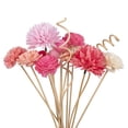 thumbnail image 4 of 15Pcs Red Simulation Flowers Reed Diffuser Replacement Sticks DIY Handmade Home Decor Rattan Oil Diffuser Refill Sticks, 4 of 7