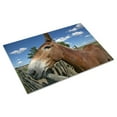 thumbnail image 3 of Print: 1880 Town, Murdo, South Dakota, 2009, 3 of 4
