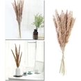 thumbnail image 3 of 15 Panpas Reeds, 60 Cm Panpas Reed Flower Vase 15pcs Dry Pampas Reed Flower Bottle Decoration, 3 of 4