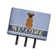 thumbnail image 1 of Gancho de pared "Treasures Welcome Brindle Boxer, triple" Caroline's Treasures BB5698TH68, 1 of 1