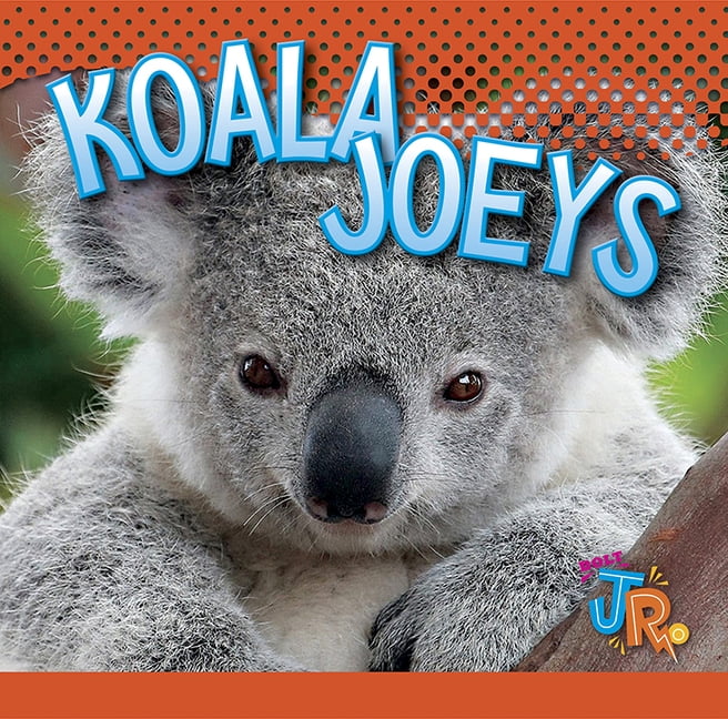 Koala Joeys - Walmart.com - Walmart.com